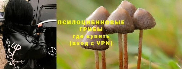 винт Алагир