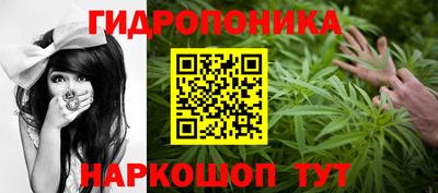 ПСИЛОЦИБИНОВЫЕ ГРИБЫ Кимры