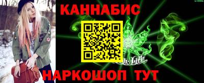 МДПВ Кингисепп