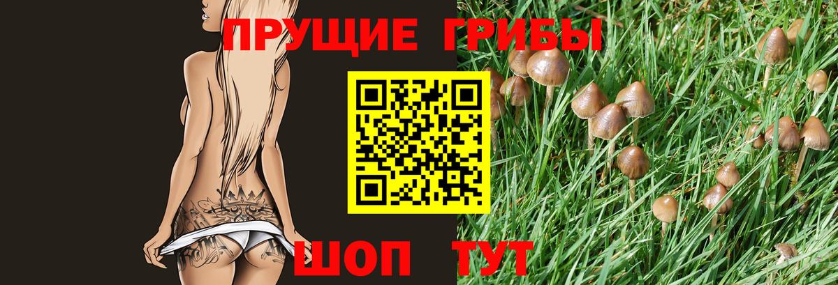 Галлюциногенные грибы Psilocybe  Галлюциногенные грибы Cubensis  Вход с VPN  Нерюнгри 