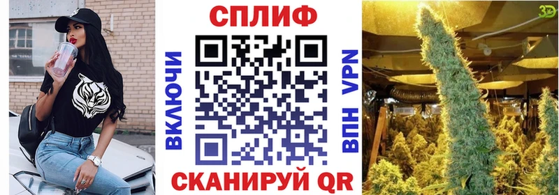 Марихуана SATIVA & INDICA  где продают наркотики  Нерюнгри 